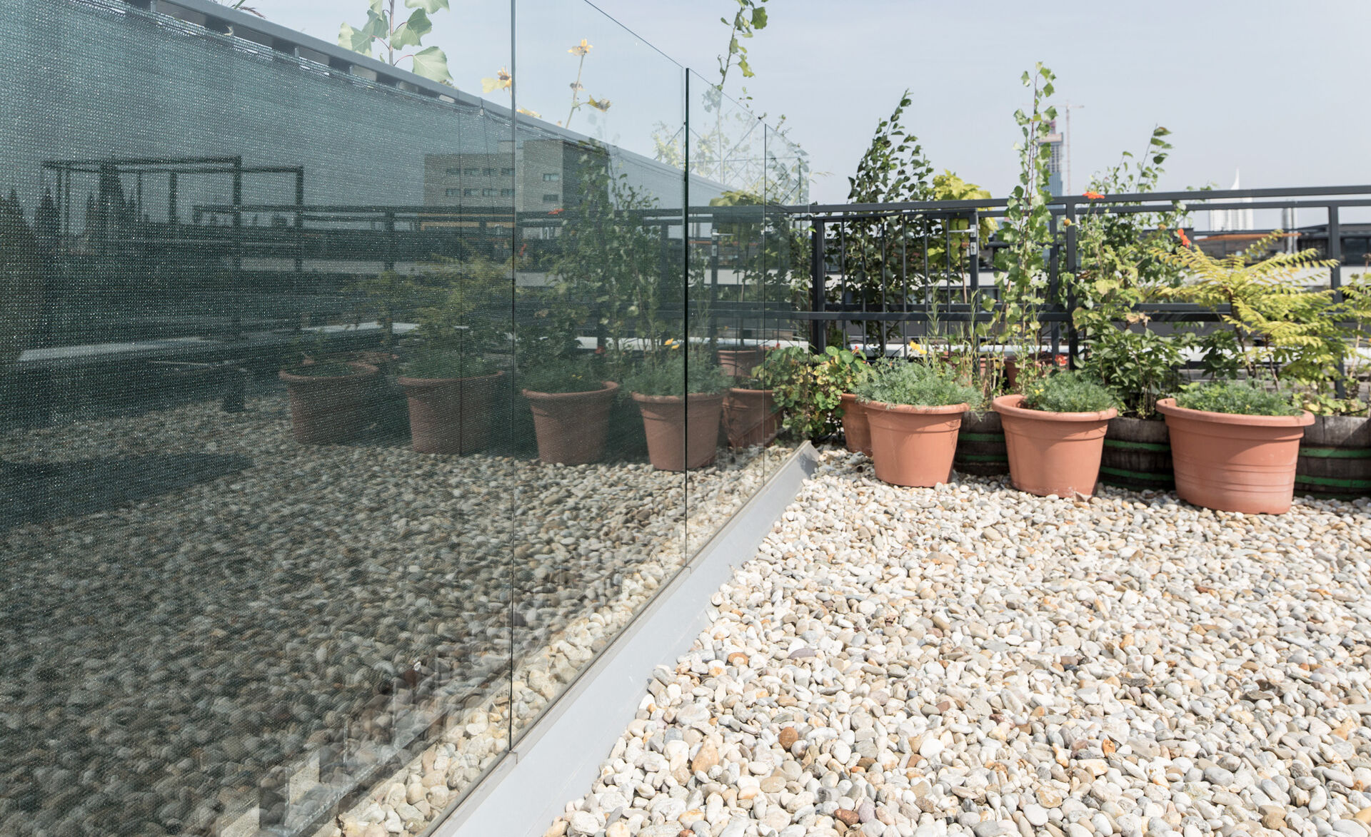 gelaender-GM Windgardwall-gm railing-terrass-windschutz